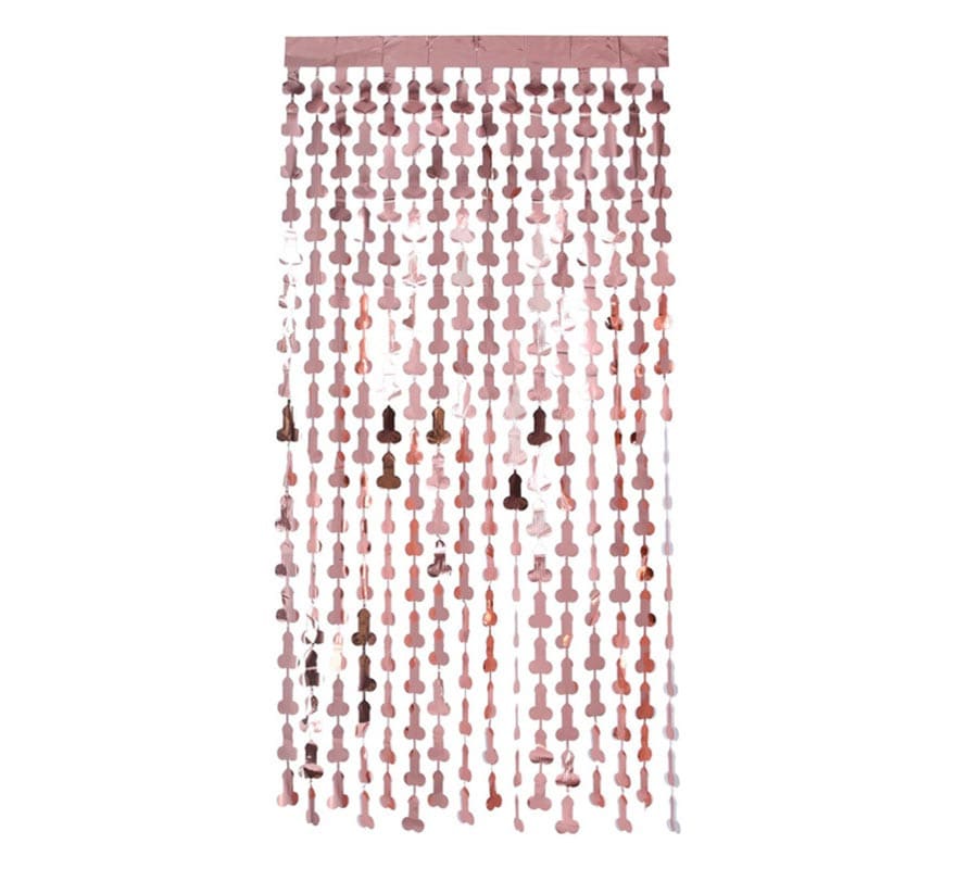 CORTINA METALICA PENE1