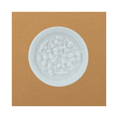 Moldura porcelana fria Rosetón1