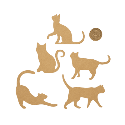 Pack Gatitos1