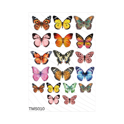 Transfer Multisuperficie 20cm x 30cm  BZ071