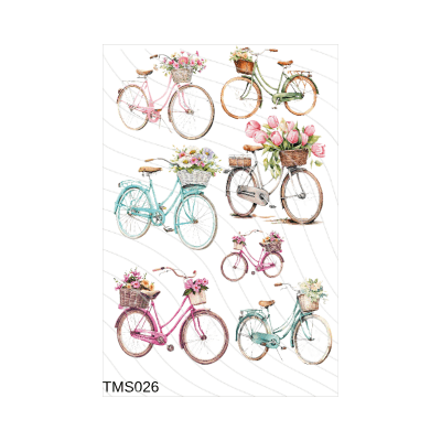 Transfer Multisuperficie 20cm x 30cm  BZ091