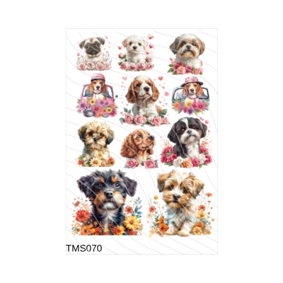 Transfer Multisuperficie 20cm x 30cm  BZ261