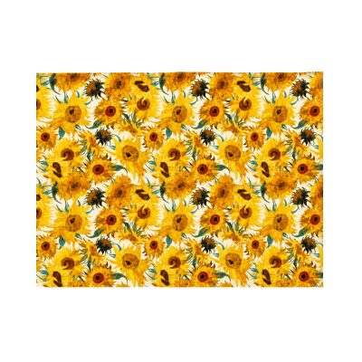 Papel Seda 50 x 35 cm BZ241