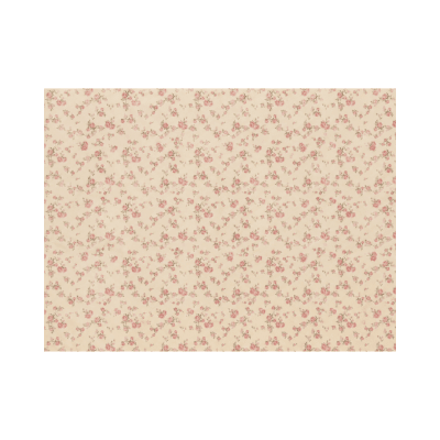 Papel Seda 50 x 35 cm BZ281