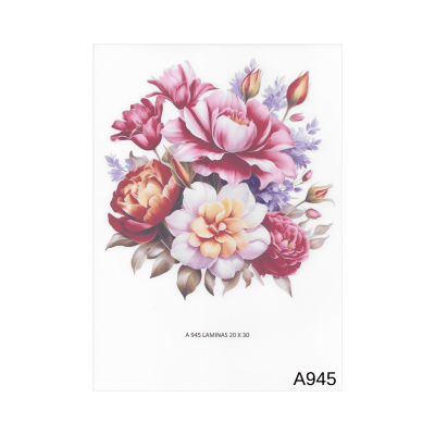 Lamina de Sublimacion A9451