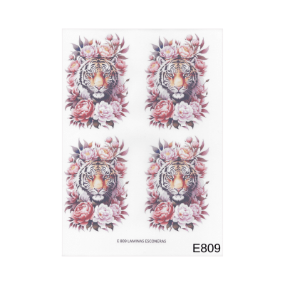 Lamina de Sublimacion E8091
