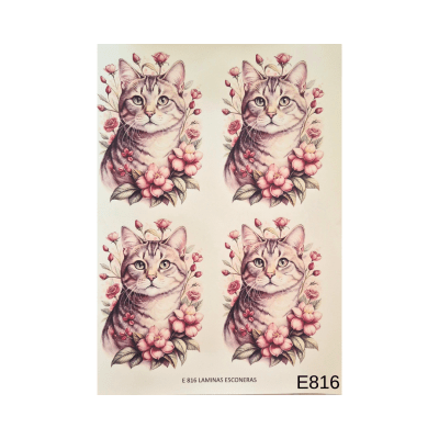 Lamina de Sublimacion E8161