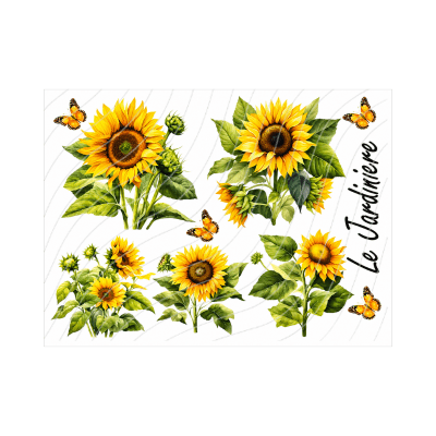 Transfer Multisuperficie 20cm x 30cm  BZ571