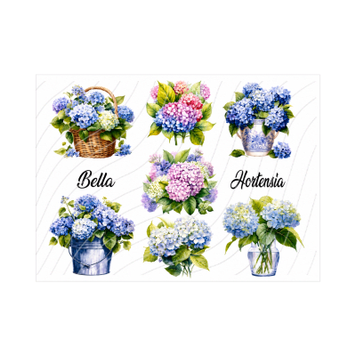 Transfer Multisuperficie 20cm x 30cm  BZ761