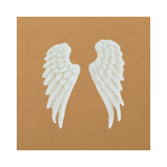 Par Alas ángel