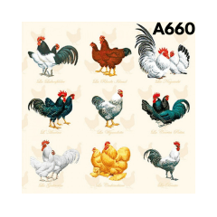 Servilleta A660