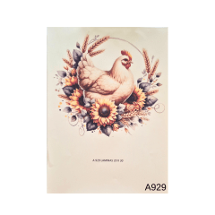 Lamina de Sublimacion A929