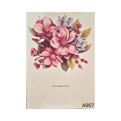 Lamina de Sublimacion A957