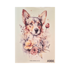 Lamina de Sublimacion A966