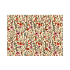 Papel Seda 50 x 35 cm BZ03