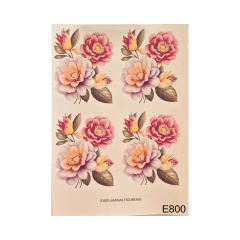 Lamina de Sublimacion E800
