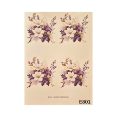 Lamina de Sublimacion E801