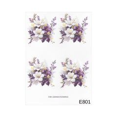 Lamina de Sublimacion E801