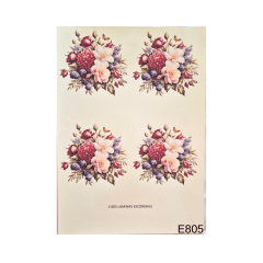 Lamina de Sublimacion E805