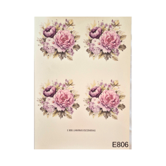 Lamina de Sublimacion E806