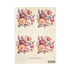 Lamina de Sublimacion E808