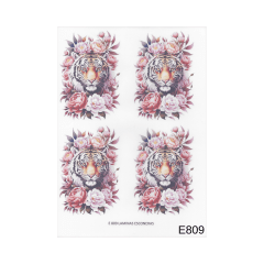 Lamina de Sublimacion E809