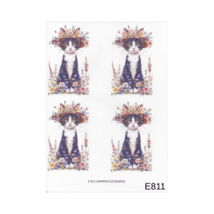 Lamina de Sublimacion E811