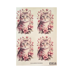 Lamina de Sublimacion E816
