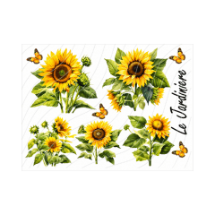 Transfer Multisuperficie 20cm x 30cm  BZ57