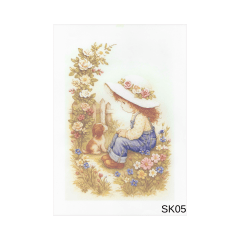Lamina de Sublimacion SK05