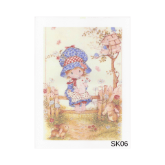 Lamina de Sublimacion SK06