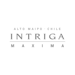 Intriga Máxima by MontGras