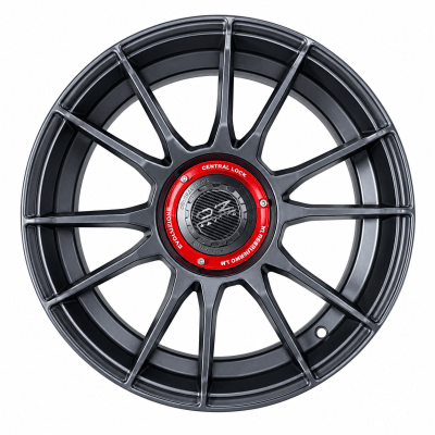 LLANTA DEPORTIVA 10X100/114,3 2024 17X7.5 E1/M5 ET 201
