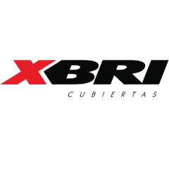 XBRI