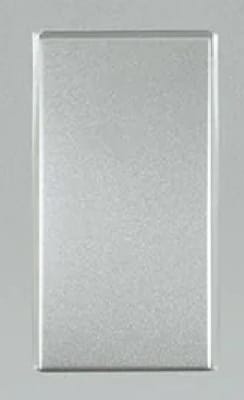 MOD CRUZAMIENTO 10A SILVER1