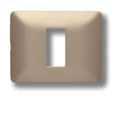 PLACA MATIX 1PTO CHAMPAGNE1