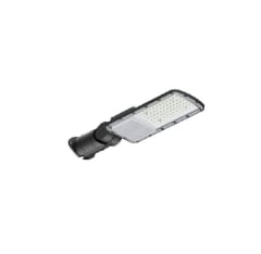 LUMINARIA AL PUBLICO 50W 2200° DS1 1%