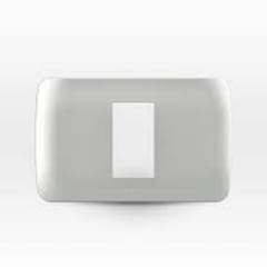 PLACA 1 PTO PLATA
