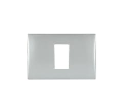 PLACA 1 PTO SILVER