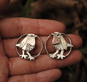 Aros Chucao de frente1