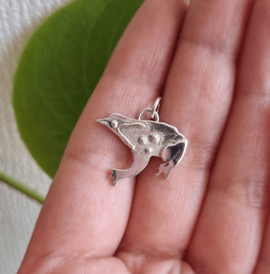 Colgante Rana de Darwin1