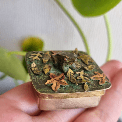 Caja Ranita de Darwin1