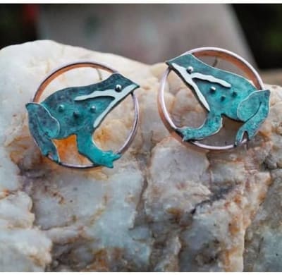 Aros Ranitas de Darwin patina1