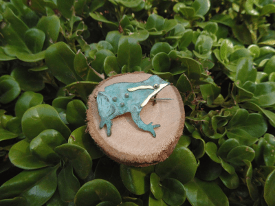 Broche Ranita de Darwin1