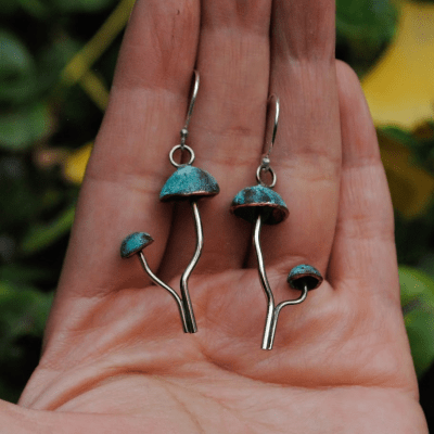 Mycena patinados1