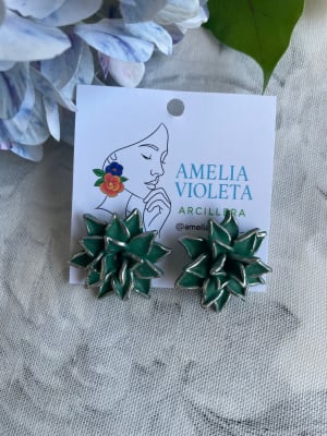 Mini suculenta1