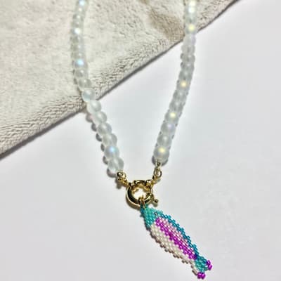 Collar Pez 2 talla S 42 cm1