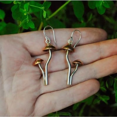 Aros Hongo Mycena Adonis1