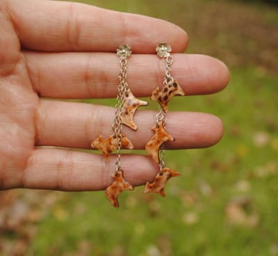 Aros Cascada de Pudús1