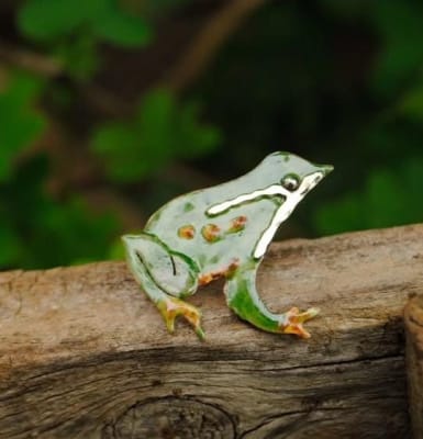 Prendedor Ranita de Darwin1